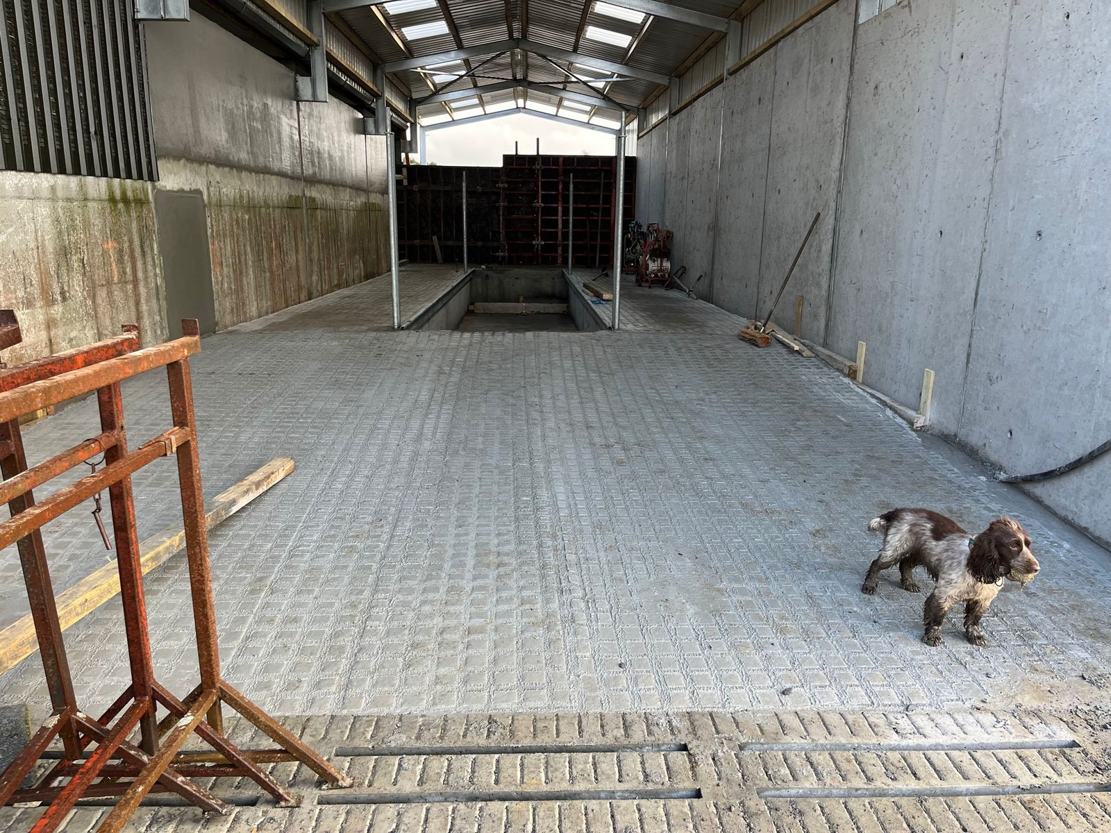 Dc397311 7373 4a93 81ce D55e79acc529