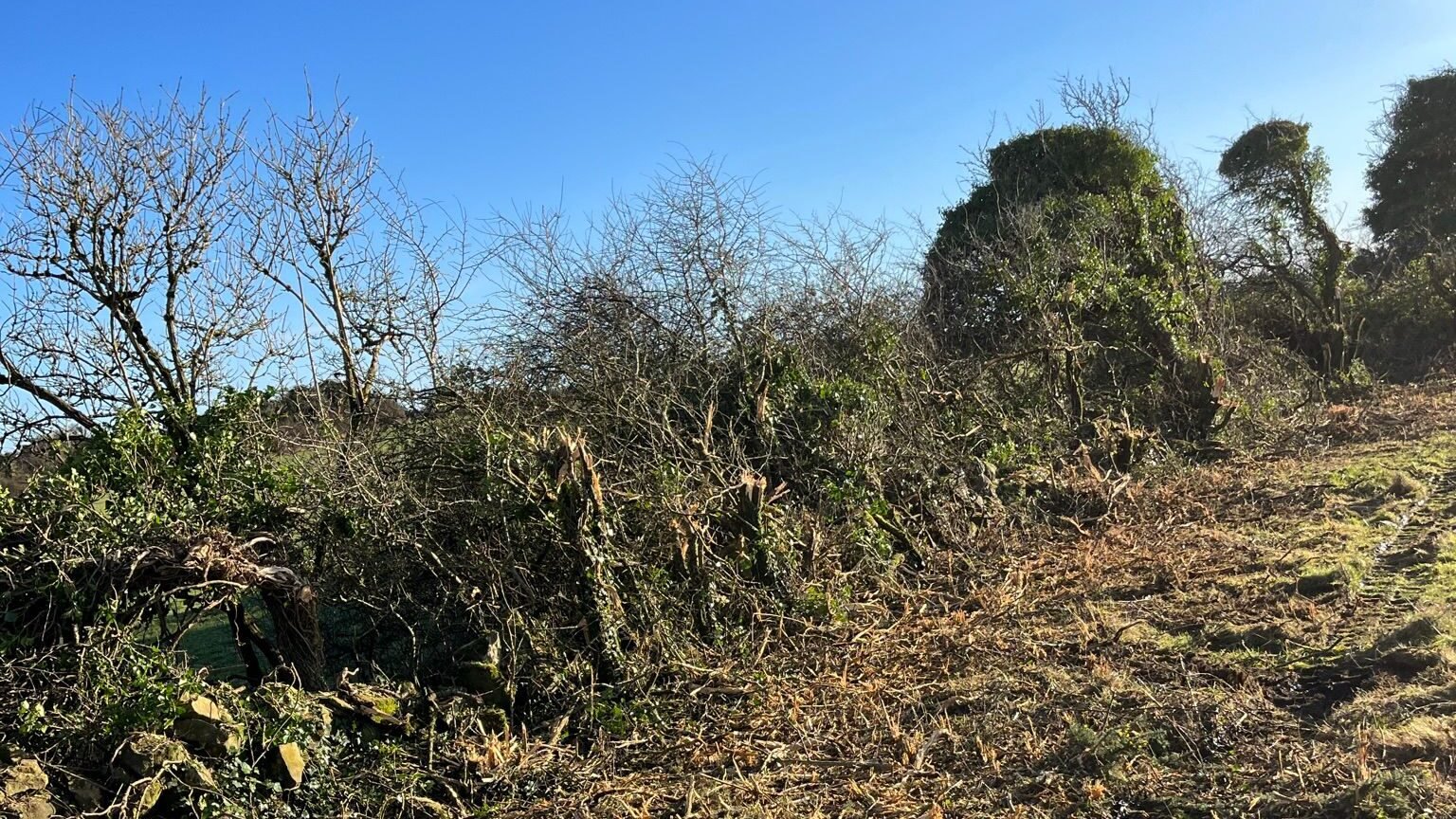 Site Clearance & Demolition Galway